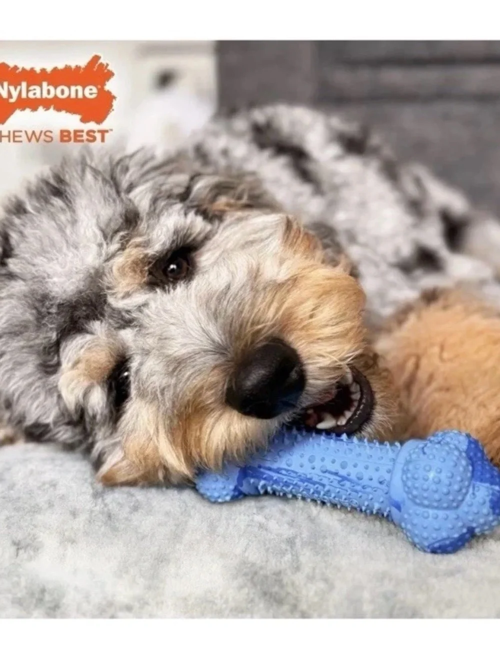 Nylabone Strong Chew Double Action Bone - Blue